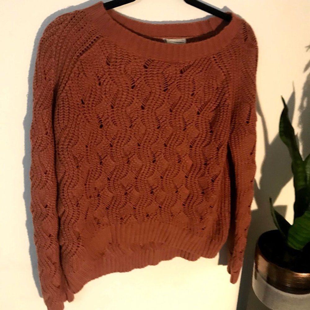 Coincidence and Chance Auburn Knit Sweater